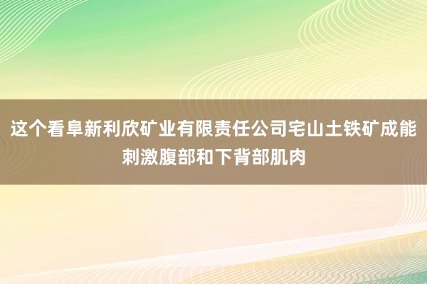 这个看阜新利欣矿业有限责任公司宅山土铁矿成能刺激腹部和下背部肌肉
