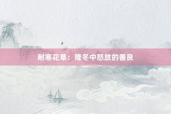 耐寒花草：隆冬中怒放的善良