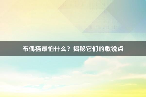 布偶猫最怕什么？揭秘它们的敏锐点